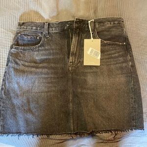 Everlane Denim Skirt